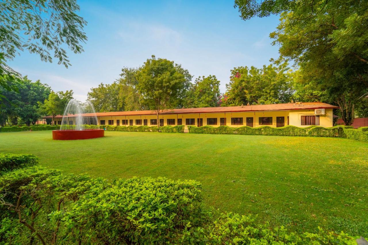 Narmada Hills Resort Godarpura Eksteriør bilde