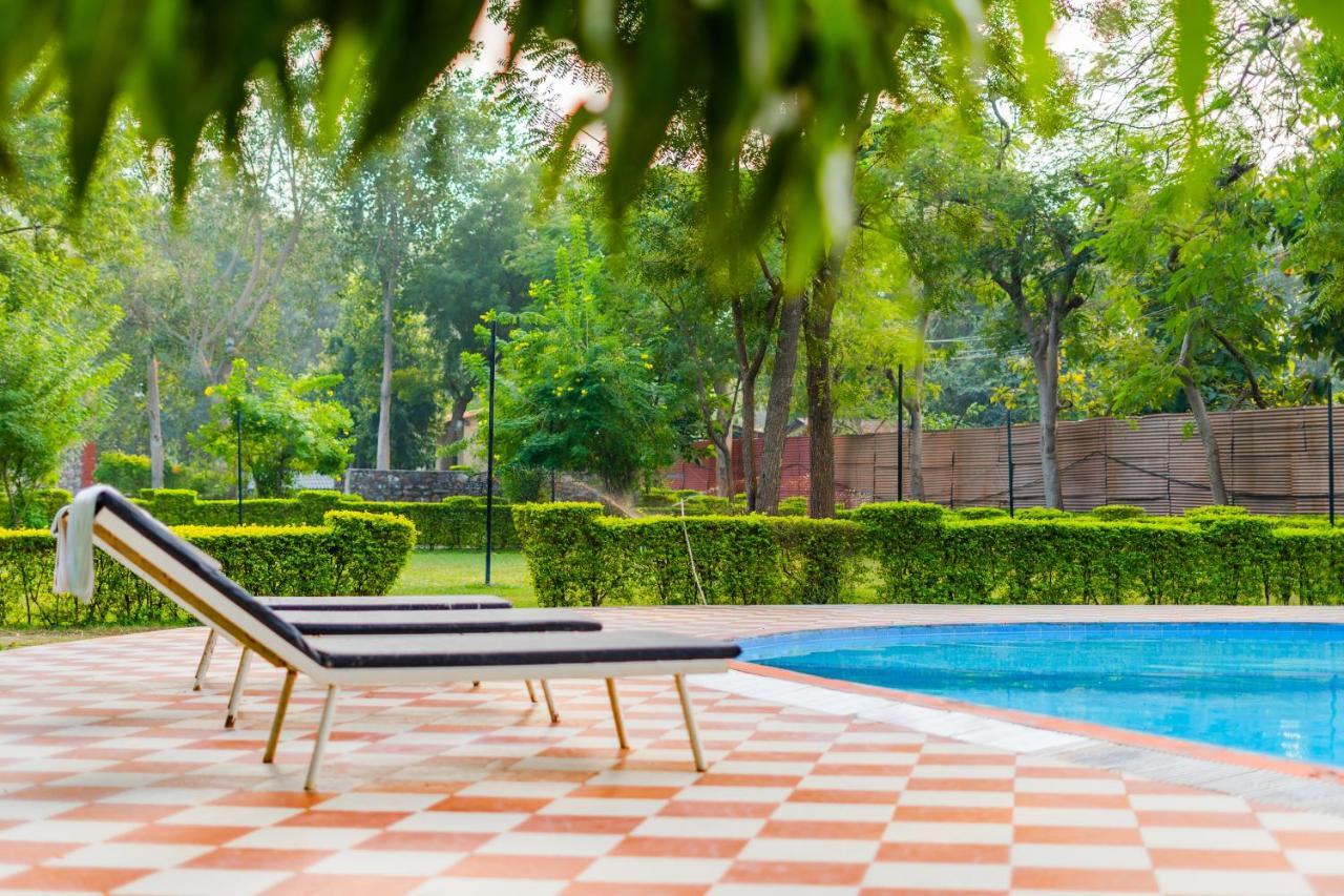 Narmada Hills Resort Godarpura Eksteriør bilde